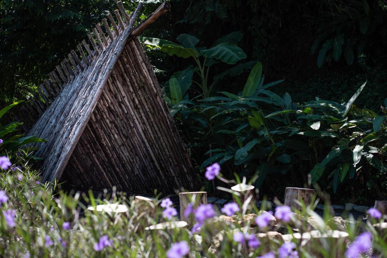 Roost Glamping - Sha Certified Hotel Rawai Kültér fotó